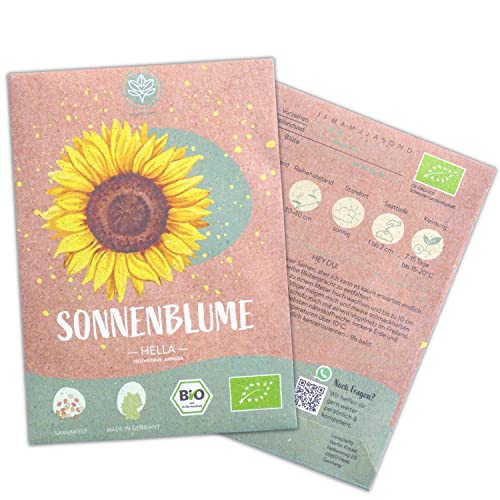 Bio Hella Sonnenblumen Samen, 20 Blumensamen mit hoher Keimquote, Sonnenblumensamen für deinen Garten, Balkon, Beet oder als Gastgeschenk. Samenfestes Blumen Saatgut. von Loveplants