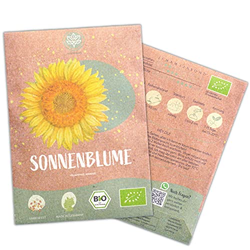 Bio Riesige Sonnenblumen Samen, 20 Blumensamen mit hoher Keimquote, Sonnenblumensamen für deinen Garten, Balkon, Beet oder als Gastgeschenk. Samenfestes Blumen Saatgut. von Loveplants