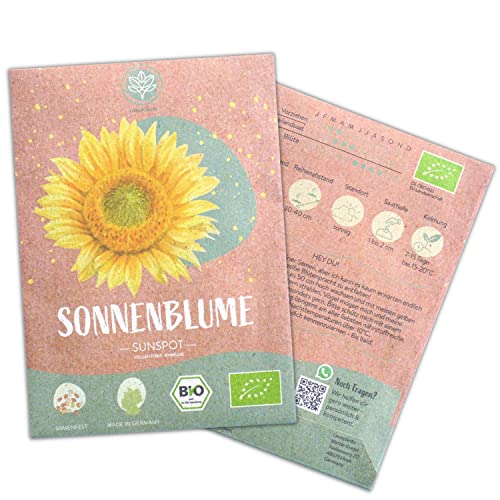 Bio Sunspot Sonnenblumen Samen, 20 Blumensamen mit hoher Keimquote, Sonnenblumensamen für deinen Garten, Balkon, Beet oder als Gastgeschenk. Samenfestes Blumen Saatgut. von Loveplants