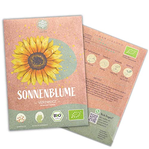 Bio Verzweigte Sonnenblumen Samen, 20 Blumensamen mit hoher Keimquote, Sonnenblumensamen für deinen Garten, Balkon, Beet oder als Gastgeschenk. Samenfestes Blumen Saatgut. von Loveplants