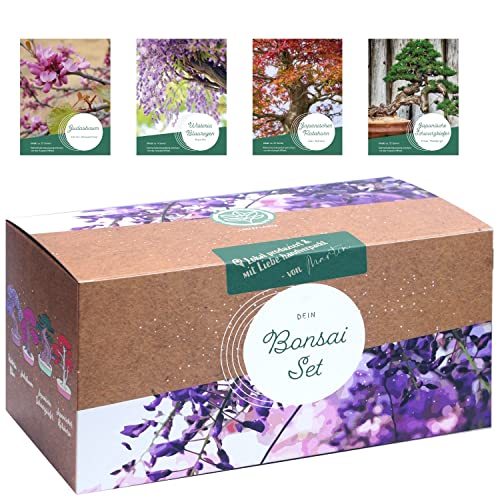 Bonsai Starter Kit – 4 außergewöhnliche Bonsai Samen für dein eigenes Bonsai Baum Projekt. Nachhaltiges & plastikfreies Bonsai Anzuchtset - einzigartiges Geschenk für Frauen und Männer. Bonsai Set von Loveplants