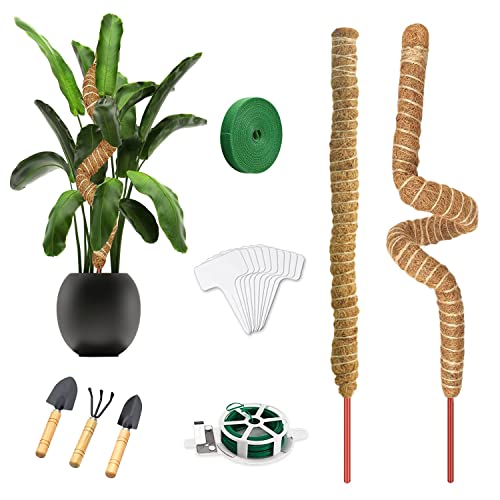 Moosstab, 2 Stück Rankhilfe Monstera, Biegbar Rankhilfe Zimmerpflanzen, Moosstab für Monstera, Kokosstab für Pflanzen, mit Zubehör, Moss Pole Geeignet zur Unterstützung Pflanzenwachstums (62cm) von Lovesmile