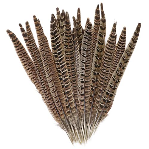 Lowats Fasan Federn 20 Stück Fasan Schwanzfedern Natural Craft Feather Natur Dekoration Hahnfeder Natürliche Hahnenfedern Fasanenfedern ​Basteln Federn 25-30cm für Basteln Zuhause Dekor von Lowats