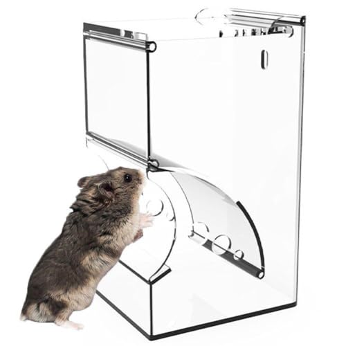 Automatischer Hamster-futterspender, Transparenter Hamster-futterspender, Futterspender Für Kleine Haustiere Wie Hamster, Igel, Eichhörnchen, Meerschweinchen, Vögel von Lpitoy