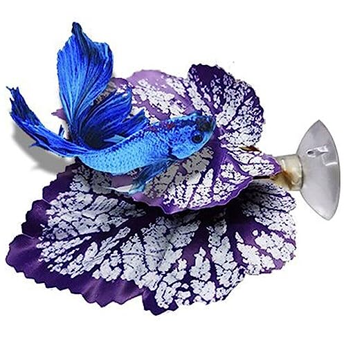 Lpitoy Betta Fish Tank Leaf Künstliche Aquariumpflanzen Fake Plants Leaf Hammock Für Betta Fish Bequemer Ruhebereich Leaf Plastic Aquarium Plants Leaf Mit Saugnapf Lpitoy Betta Fish Tank Leaf Künstliche Aquariumpflanzen Fake Plants Leaf Hammock Für Betta Fish Bequemer Ruhebereich Leaf Plastic Aquarium Plants Leaf Mit Saugnapf von Lpitoy