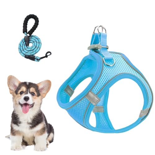 Lpoppcx Hundegeschirr Und Leinen Set - Netzgeschirr und Hundleinen Kombi - Einstellbare Weste für Welpen und Katzen bei Autoreisen Nachtsicherheit von Lpoppcx