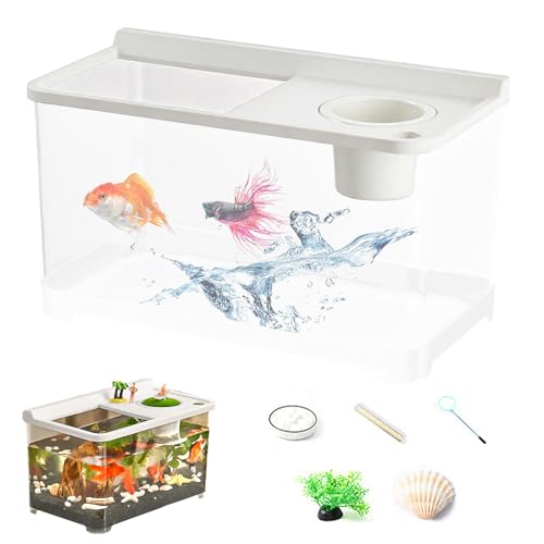 Lpoppcx Kleines Aquarium Mit 3 Farben Beleuchtung | Hochtransparenter Tank | 360° Sicht Aquarium Für Wohnzimmer Arbeitszimmer Schlafzimmer von Lpoppcx