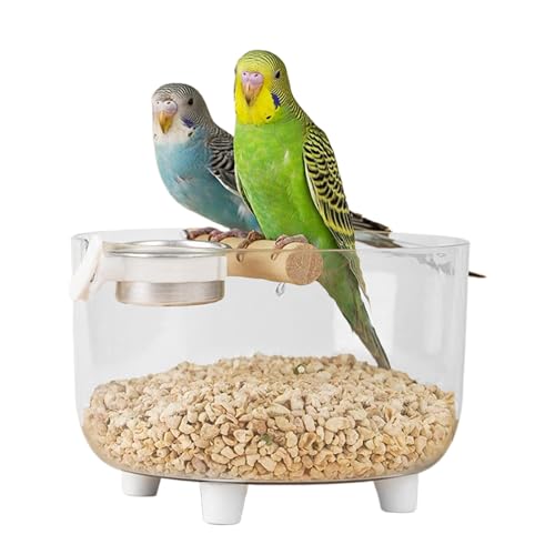 Lpoppcx Vogel Trainingsstand Für Den Schreibtisch,Tragbarer Vogelspielstand Mit Abnehmbarer Edelstahl-Futternapf - Toilette Für Mittelgroße Und Kleine Sittiche Und Finken - Für Unzertrennliche Lpoppcx Vogel Trainingsstand Für Den Schreibtisch,Tragbarer Vogelspielstand Mit Abnehmbarer Edelstahl-Futternapf - Toilette Für Mittelgroße Und Kleine Sittiche Und Finken - Für Unzertrennliche von Lpoppcx