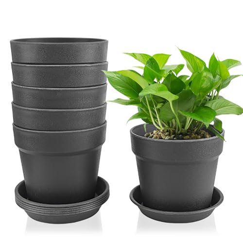 Lrocotanc 6er-Set Blumentöpfe 14,5 cm mit Untersetzer – Kunststoff Pflanzentöpfe für Innen & Balkon, mit Ablauflöchern, ideal für Sukkulenten & Kakteen, Schwarz von Lrocotanc