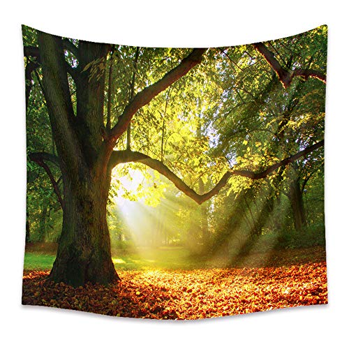 Lsimeru Herbstwald Wandteppich 150x200 Natur Landschaft Wandtücher Wald Baum Sonnenuntergang Wandbehang Forest Tree Wandtuch Tapestry Schlafzimmer Wohnzimmer Deko von Lsimeru