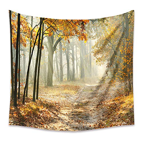 Lsimeru Wald Nebel Wandteppich Herbst Waldweg 150x130 Natur Landschaft Wandbehang Forest Baum Sonnenaufgang Wandtuch Tapestry Tapisserie Wandkunst Tischdecke Schlafzimmer von Lsimeru