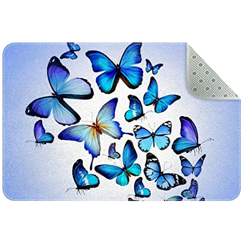 Alfombrilla de baño para baño con diseño de mariposa azul, alfombrilla de bienvenida, alfombrilla de baño, alfombrilla de puerta delantera antideslizante y absorbente, felpudo lavable para entrada, pa von Lsjuee