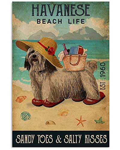 Beach Life Sandy Toes Havaneser Poster, Geschenk für Frauen, Männer, Zuhause, Geschenk, Badezimmer, Vintage, Schlafzimmer, Neuheit, lustig, Retro, Parlor, Poster, Garage, Wandbild, Metallblechschilder von Lsjuee