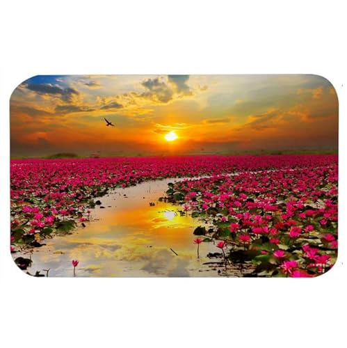 Felpudo de paisaje de granja, alfombra suave cómoda, alfombrillas de bienvenida antideslizantes para el hogar, cocina, lavable, alfombrillas de ducha decorativas para bañera, 16*24in/40*60cm von Lsjuee