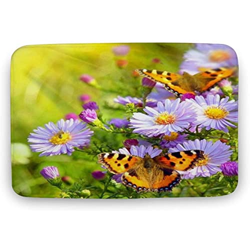 Hermoso felpudo de nube, alfombra suave y cómoda, alfombrillas de bienvenida antideslizantes para el hogar, cocina, lavable, alfombrillas de ducha decorativas para bañera, 20x31 pulgadas/50x80cm von Lsjuee