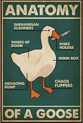 Lsjuee Anatomy of A Goose Dask Metall Eisen Malerei Retro Poster Blechschild Vintage Wanddekoration Poster Metallschild Aluminiumschild für Cafe Bar Pub Home Bier Dekoration 16x12 Zoll von Lsjuee