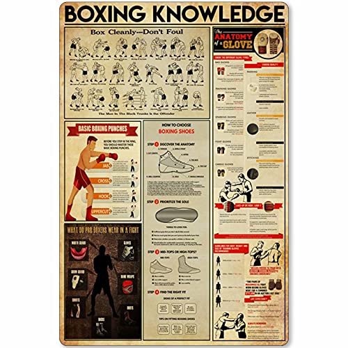 Lsjuee Boxing Knowledge Metallblechschild The Anatomy of A Glove Poster Infografik Boxer Club Home Küche Garage Bar Wanddekoration 20,3 x 30,5 cm von Lsjuee