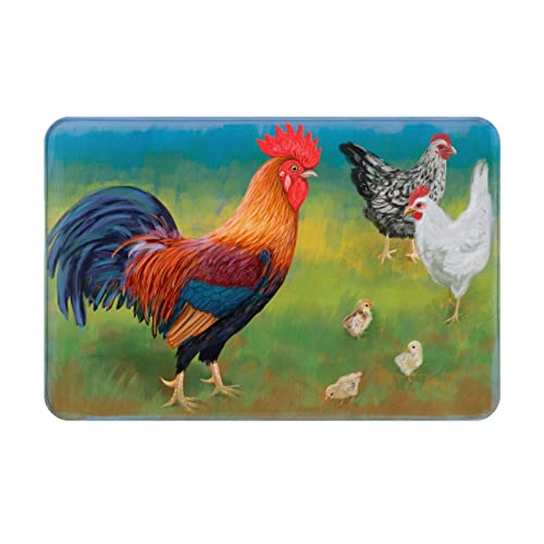 Lsjuee Rural Rooster Chicken Chick Forraje Farmhouse Floor Mat Welcome Mat Alfombras de baño, antideslizante y absorbente Front Door Mat, lavable Floor Doormat para entrada, Patio, Porche 16x24inch von Lsjuee