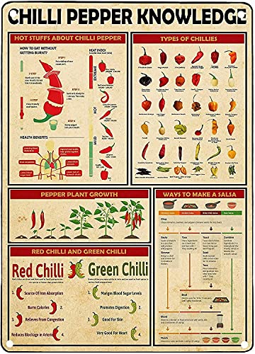 Vintage Blechschilder aus Metall – Chili Pepper Knowledge Aluminium Metall Wanddekoration Retro Bar Schild Poster Home Kitchen Bar Room Garage Plate Wall Decor 30,5 x 20,3 cm von Lsjuee