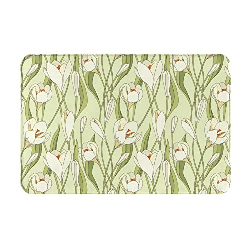 Perro Pomerania Al aire libre Felpudo de invierno Alfombra suave y cómoda Alfombrillas de bienvenida antideslizantes para el hogar Cocina Lavable Bañera Alfombrillas de ducha Decorativas 16 * 24in / 4 von Lsjuee