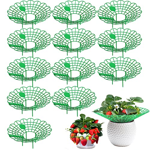 Lsydgn Erdbeerstützen Ständer 12 Stück,Erdbeeren Pflanzen Ständer,Erdbeer Reifer Klein,Balkon Erdbeernetze Pflanzenunterstützung für Erdbeeren Schutz,Grün Lsydgn Erdbeerstützen Ständer 12 Stück,Erdbeeren Pflanzen Ständer,Erdbeer Reifer Klein,Balkon Erdbeernetze Pflanzenunterstützung für Erdbeeren Schutz,Grün von Lsydgn
