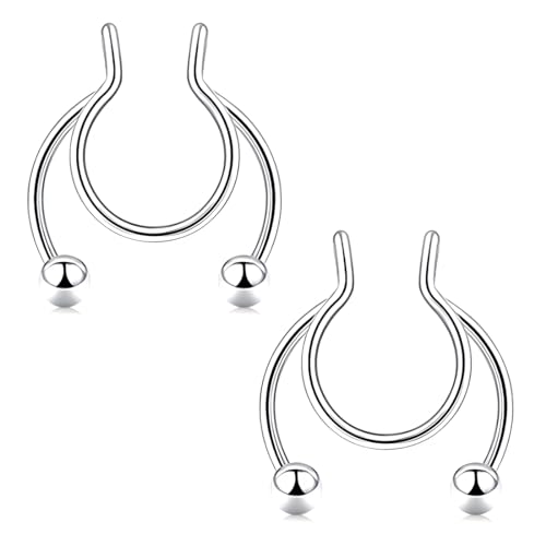 LuLiyLdJ 2er-Pack gefälschter durchbohrter Nasenring, gefälschtes Septum-Piercing, Lippenpiercing-Ring, Edelstahl-Septum-Nasenring, Nicht durchdringender Clip-On-Nasenschmuck für Männer und Frauen von LuLiyLdJ