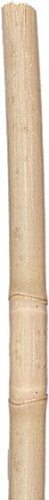 Lucht 0 Tonkinstäbe 180 cm x 14/16 mm 10er-Bund von Lucht