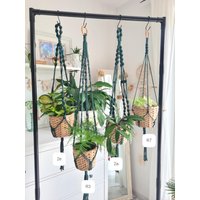 Hanging Basket Macrame Plant Hanger Hanging Houseplants Green Dark Sustainable On The Ring For Hanging Basket Macrame Plant Hanger Hanging Houseplants Green Dark Sustainable On The Ring For von LuciForPlants