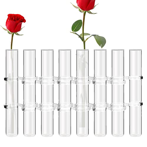 Aufklappbare Blumenvase, Durchsichtige Aufklappbare Vasen Für Blumen, Set Mit 6/8 Stück Reagenzgläsern, Blumenvasen, Glasvase Mit Ständer, Reagenzglas, Aufklappbares Pflanzenvasen-Display Set von Luckxing