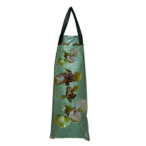 Erdbeere Pflanzsack, Pflanzen Tasche Grow Tasche Pflanzbeutel Mit Griffe, Hängend Erdbeeren Pflanztaschen Mit Löchern Erdbeer-Pflanzbeutel, Hängend Erdbeeren Pflanztaschen Für Pflanzen/Kräuter/Blumen von Luckxing