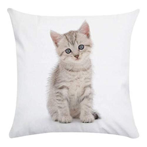 Luckxing Kissenbezug, Kissen-Bezug Mit Süßem Katzen-Aufdruck, Einfaches Katzen-Motiv, Für Auto, Zuhause, Sofa, Bett, 45 X 45 cm, 1 Stück von Luckxing