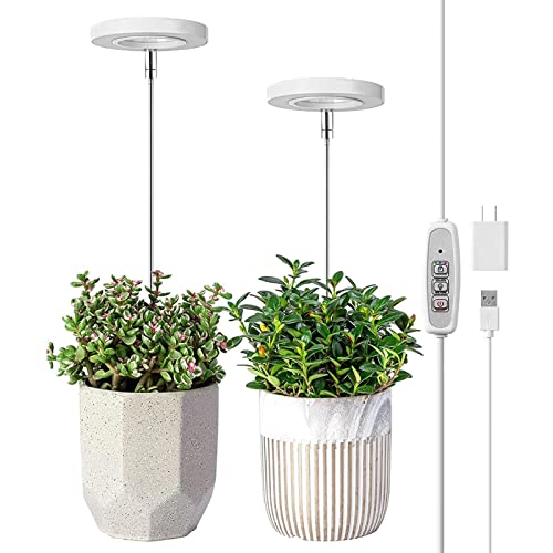 Pflanzenlampe Led Pflanzenlicht Vollspektrum Grow Light, 3-in-1 Stehleuchte-Rot/Blau Zeilengesteuerte 4 Lichtmodi Wachsen Licht Vollspektrum Für Zimmerpflanzen von Luckxing