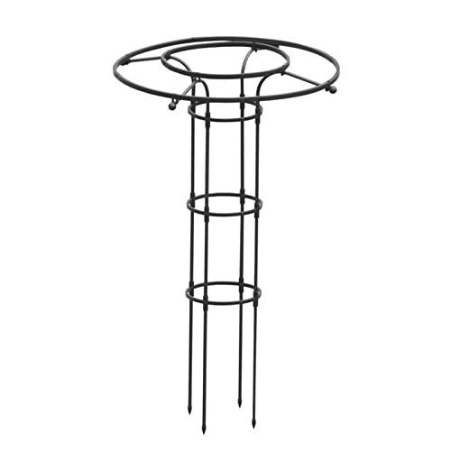 Rosensäule, Rankhilfe für Tomaten und Gurken, Metall, Stabil Wetterfest Garten Rankgitter Rankhilfe Ranksäule Metallsäule Gartensäule von Luckxing