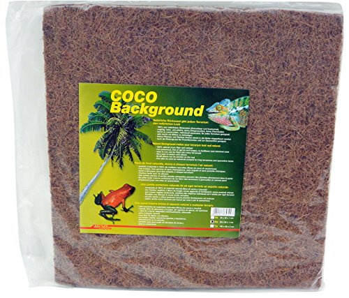 Lucky Reptile CBG-50 Coco Background 50 cm, Naturrückwand für Terrarien von Lucky Reptile