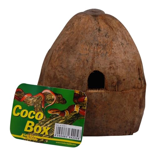 Lucky Reptile Coco Box Lucky Reptile Coco Box von Lucky Reptile