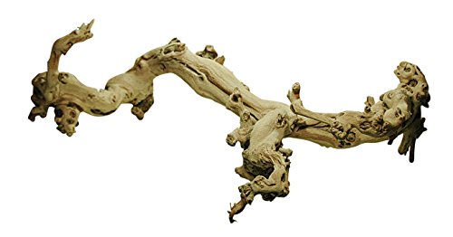 Lucky Reptile Rebholz, Größe:XL Lucky Reptile Rebholz, Größe:XL von Lucky Reptile