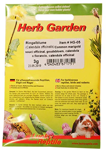 Lucky Reptile HG-05 Herb Garden - Ringelblume, 3 g von Lucky Reptile