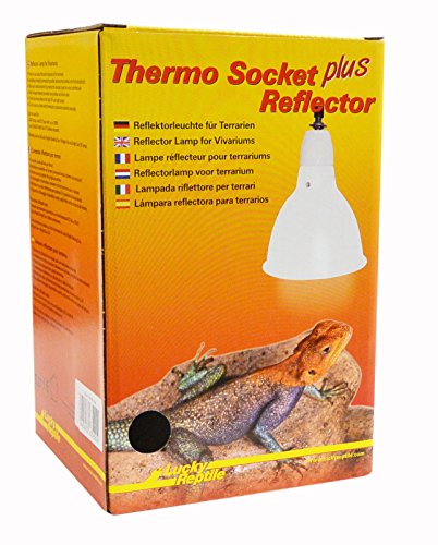 Lucky Reptile HTR-1W Thermo Socket + Reflector klein, weiß von Lucky Reptile