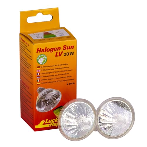 Lucky Reptile Halogen Sun LV - Doppelpack (mit GU5.3-Stecksockel), Wattstärke:20 Watt von Lucky Reptile