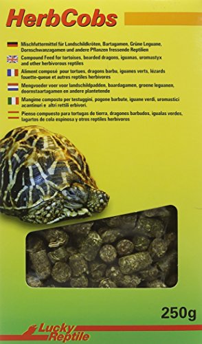 Lucky Reptile Herb Cobs 250 g, 1er Pack (1 x 250 g) von Lucky Reptile