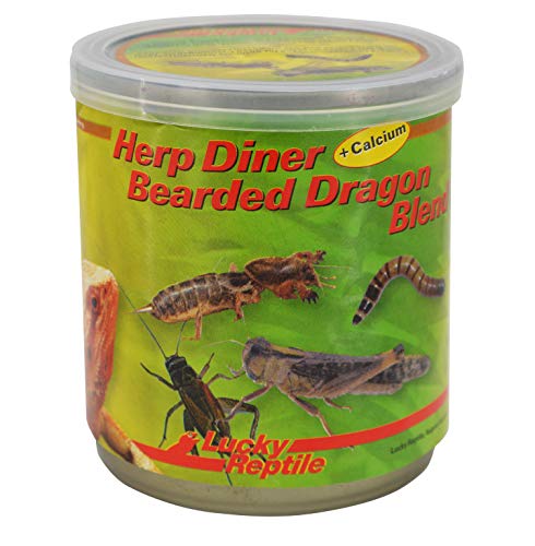 Lucky Reptile Herp Diner - Bearded Dragon Blend 70 g, speziellen Futter für Bartagamen und andere Reptilien von Lucky Reptile