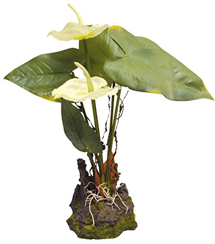 Lucky Reptile IF-31 Anthurium, Kunststoffpflanze / Plastikpflanze mit Fuß, weiß von Lucky Reptile