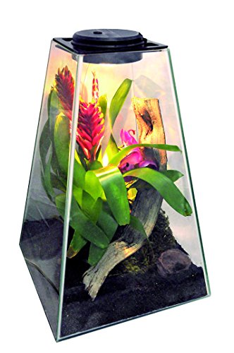 Lucky Reptile LP-45M Life Pyramid 45 mit Light Mehrfarbig Lucky Reptile LP-45M Life Pyramid 45 mit Light Mehrfarbig von Lucky Reptile