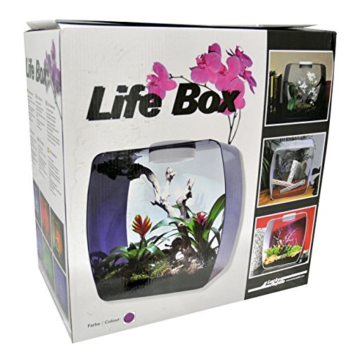 Lucky Reptile Lucky Reptile Life Box, Nanoterrarium aus Acrylglas von Lucky Reptile