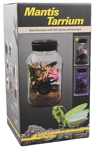 Lucky Reptile MantisTarrium von Lucky Reptile