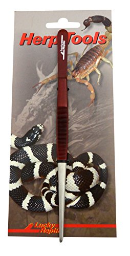 Lucky Reptile Futterpinzette 20 cm gerade von Lucky Reptile