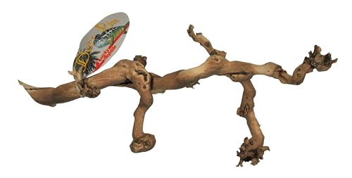 Lucky Reptile Rebholz, Größe:Klein Lucky Reptile Rebholz, Größe:Klein von Lucky Reptile