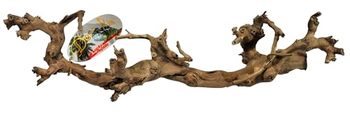 Lucky Reptile Rebholz, Größe:Mittel Lucky Reptile Rebholz, Größe:Mittel von Lucky Reptile