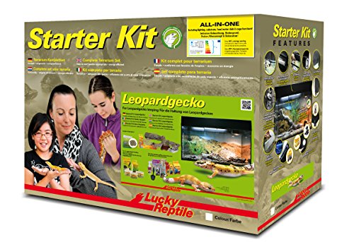 Lucky Reptile Leopardgecko Starter Kit 80 cm - hochwertiges Gecko Terrarium Komplettset für die Aufzucht und Dauerhaltung von Geckos - Starter Set Leopard Gecko für Einsteiger in schwarz von Lucky Reptile