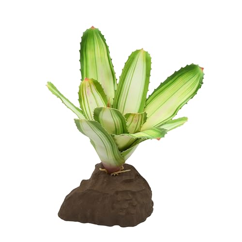 Lucky Reptile Scape it Easy - Bromelie Neoregelia weiß ca. 20 cm - Dekopflanze für Terrarien Lucky Reptile Scape it Easy - Bromelie Neoregelia weiß ca. 20 cm - Dekopflanze für Terrarien von Lucky Reptile